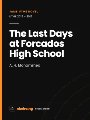 Our cover for The Last Days at Forcados High School summary