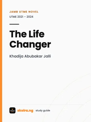 Our cover for The Life Changer summary
